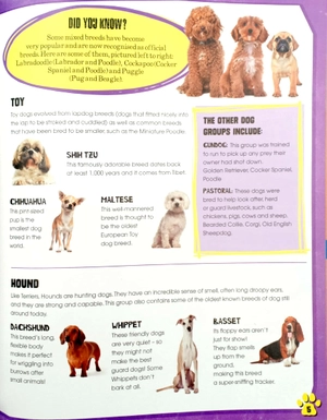 dogs (pet expert)