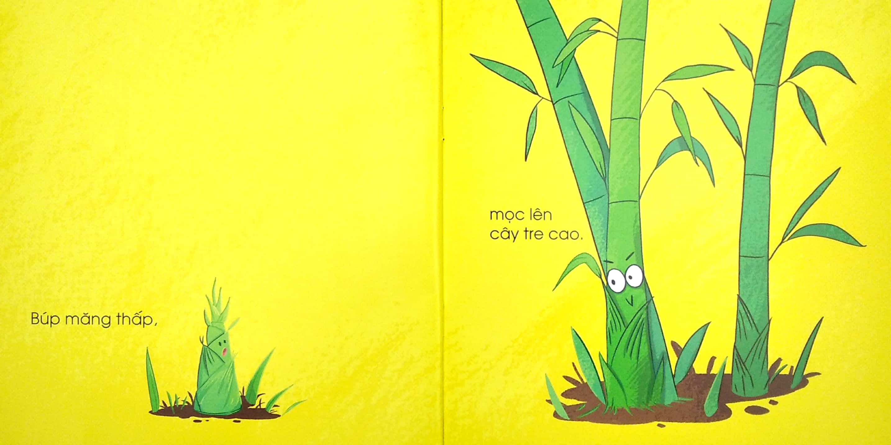 đối lập ngộ nghĩnh - cao - thấp