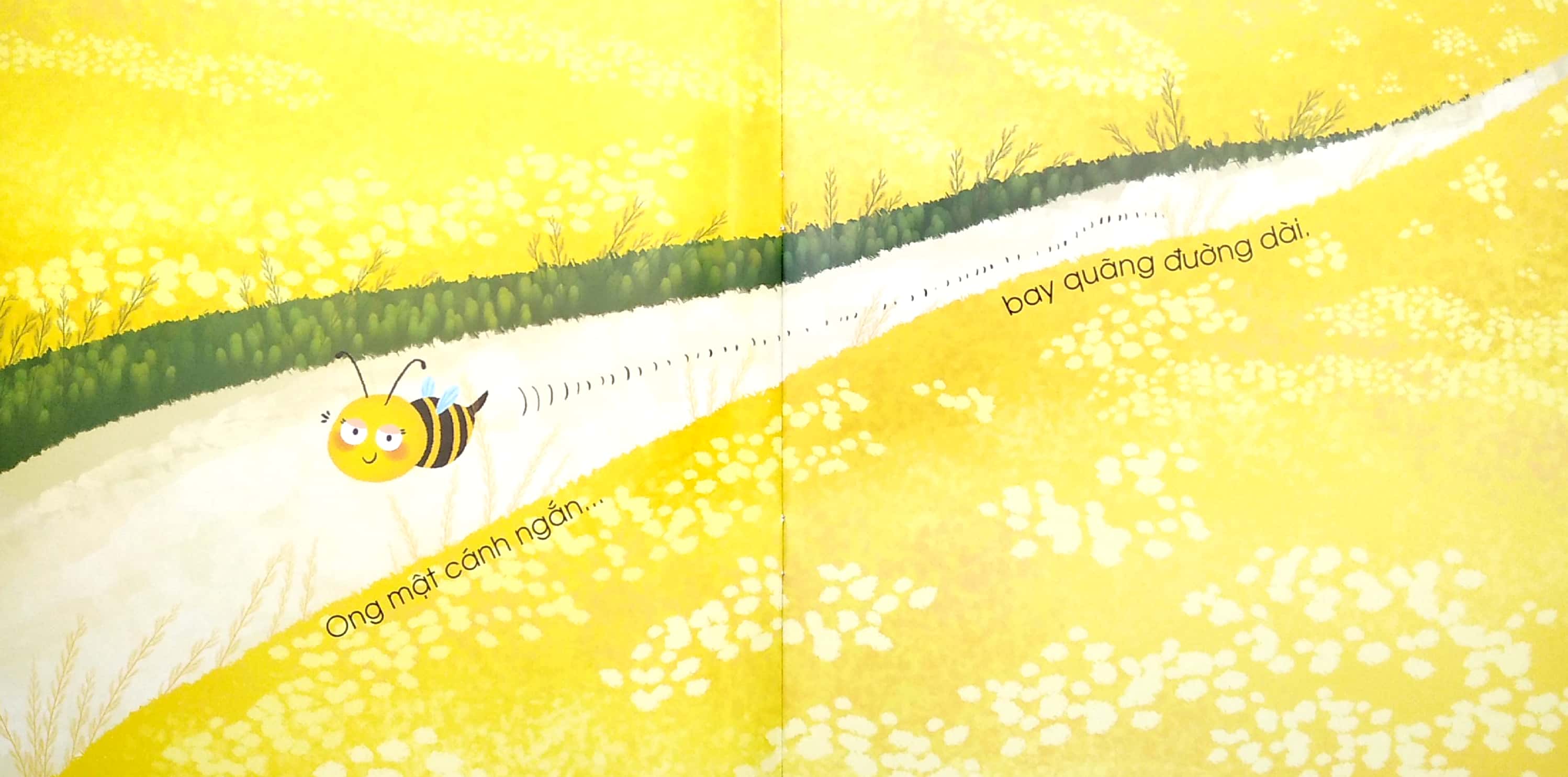 đối lập ngộ nghĩnh - ngắn - dài