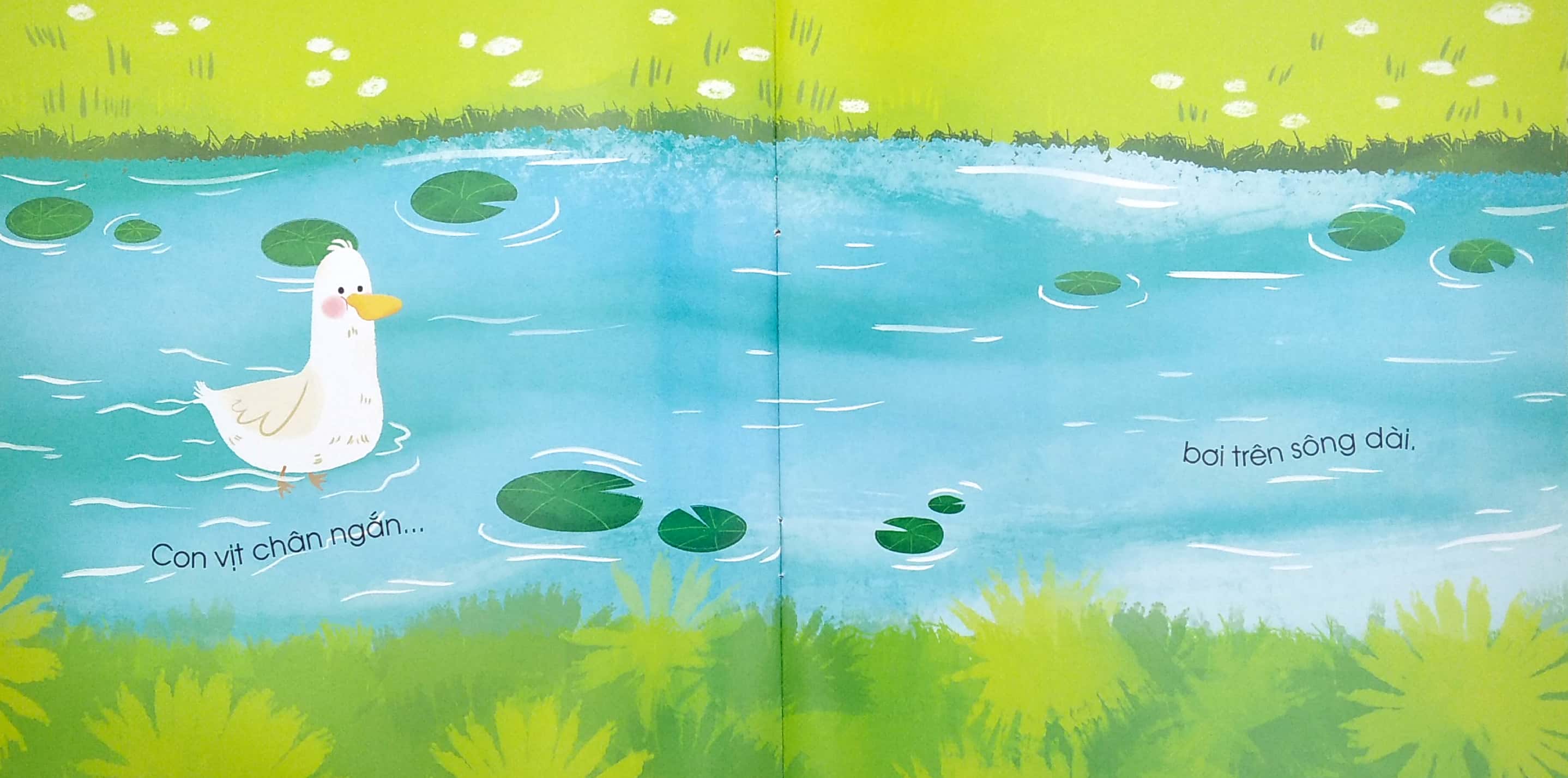 đối lập ngộ nghĩnh - ngắn - dài