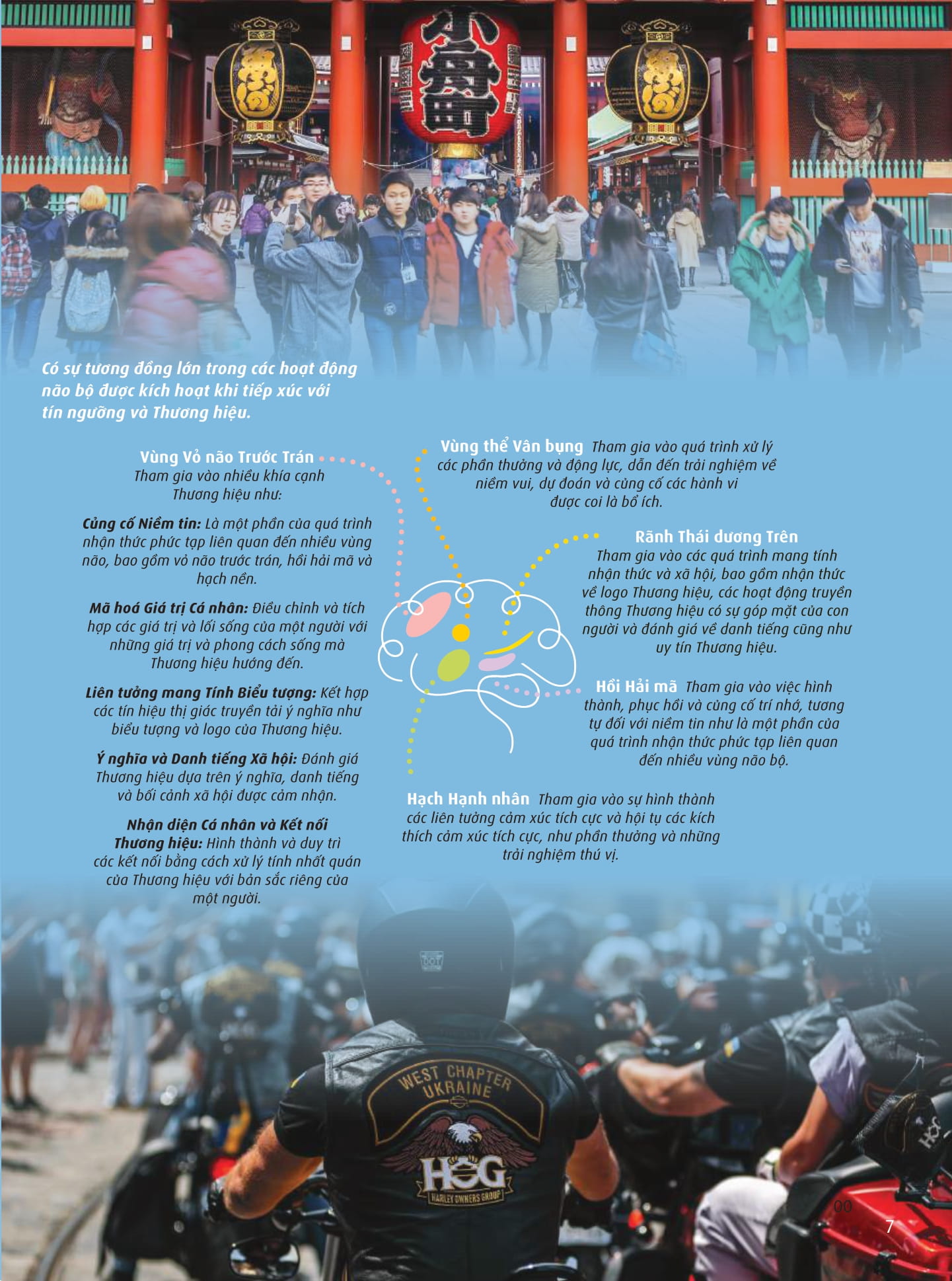 Doi Moi Voi Intergrated Brand Thinking