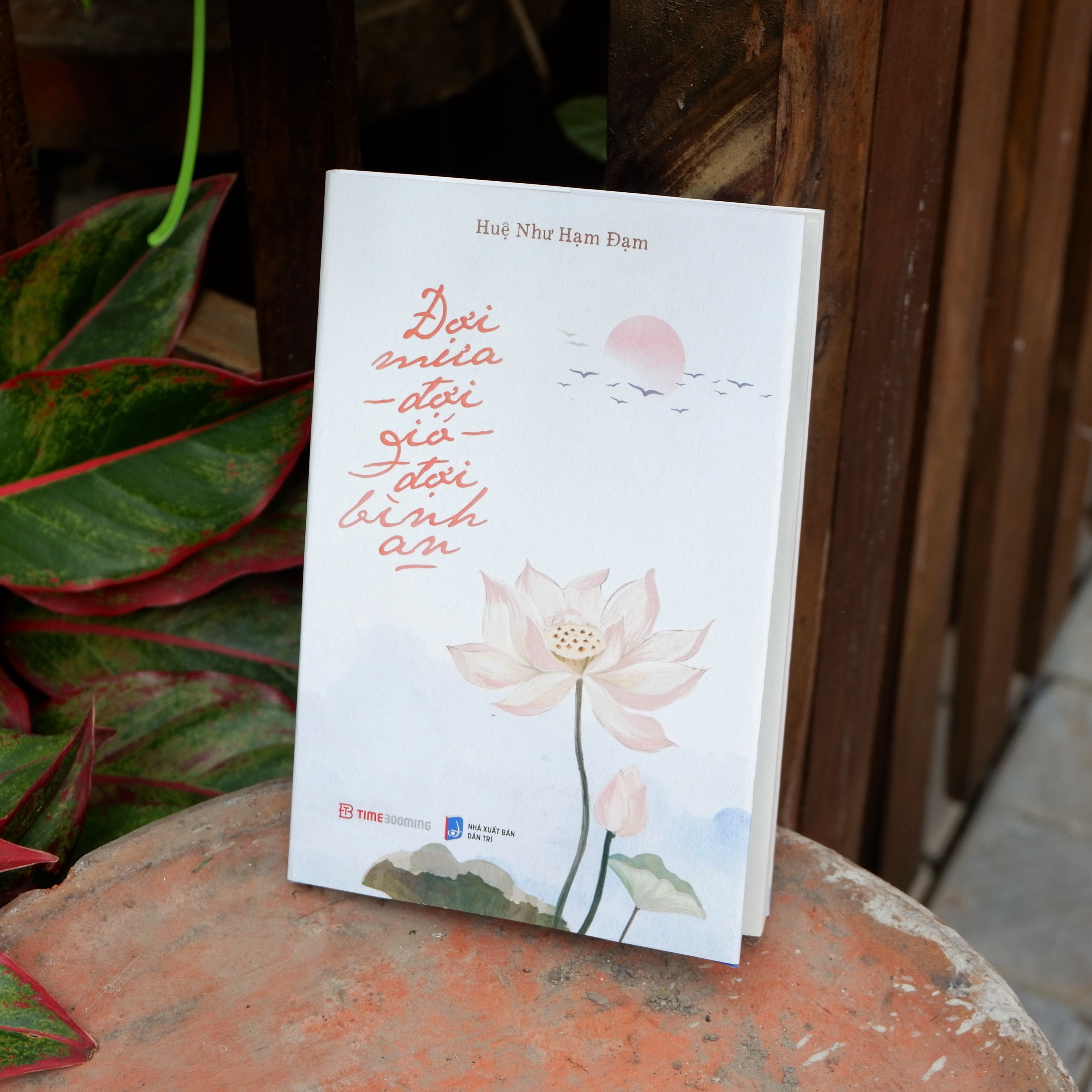 đợi mưa - đợi gió - đợi bình an