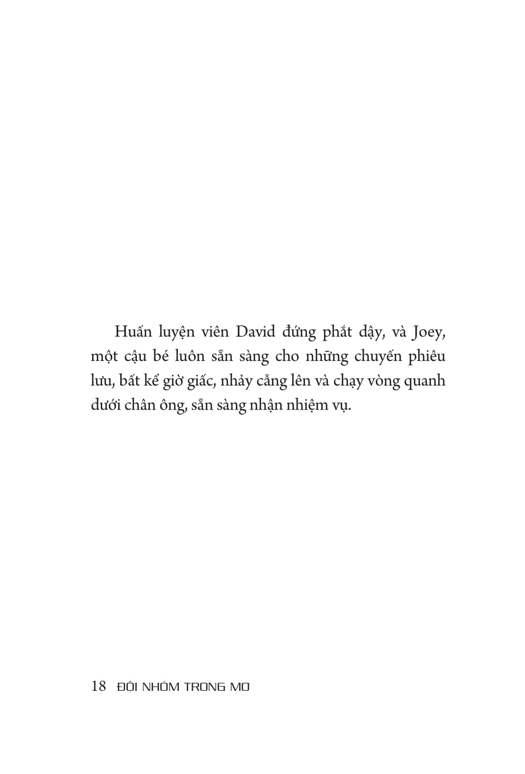 đội nhóm trong mơ