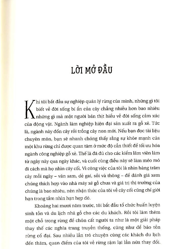 đời sống bí ẩn của cây