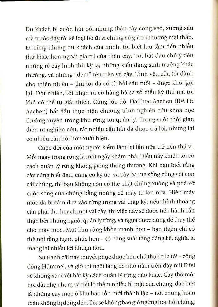 đời sống bí ẩn của cây