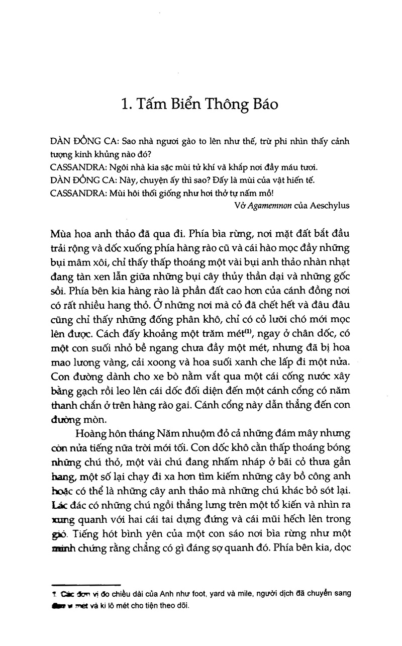 đồi thỏ (tái bản 2023)