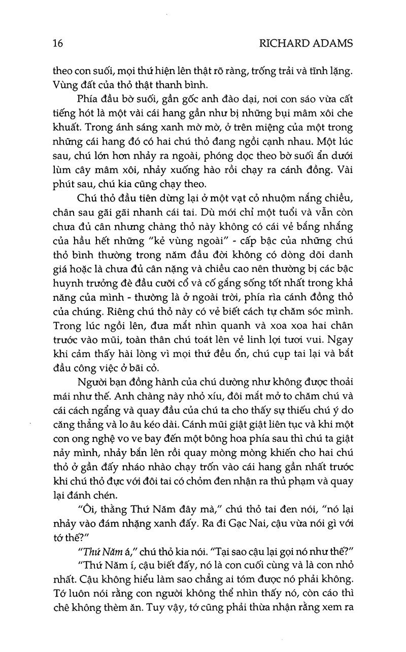 đồi thỏ (tái bản 2023)