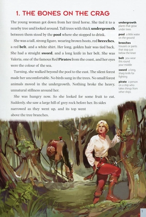 dolphins starter: a game of shapes