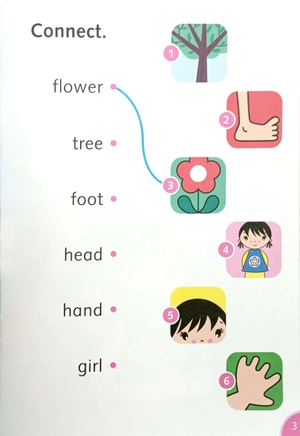 dolphins starter: doctor, doctor