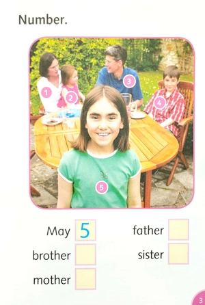 dolphins starter: my family