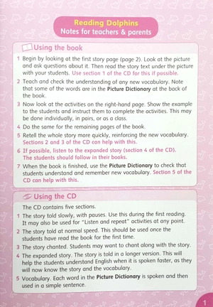 dolphins starter: silly squirrel