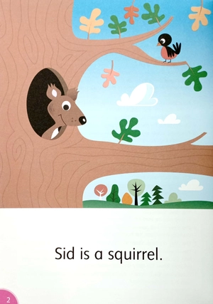 dolphins starter: silly squirrel