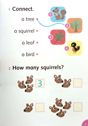 dolphins starter: silly squirrel