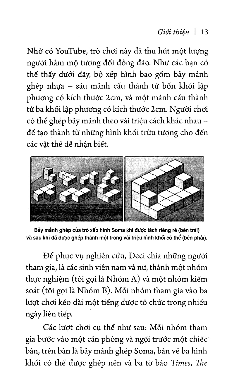động lực chèo lái hành vi (tái bản)