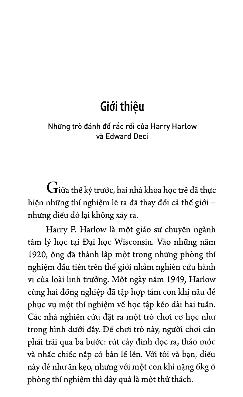 động lực chèo lái hành vi (tái bản)
