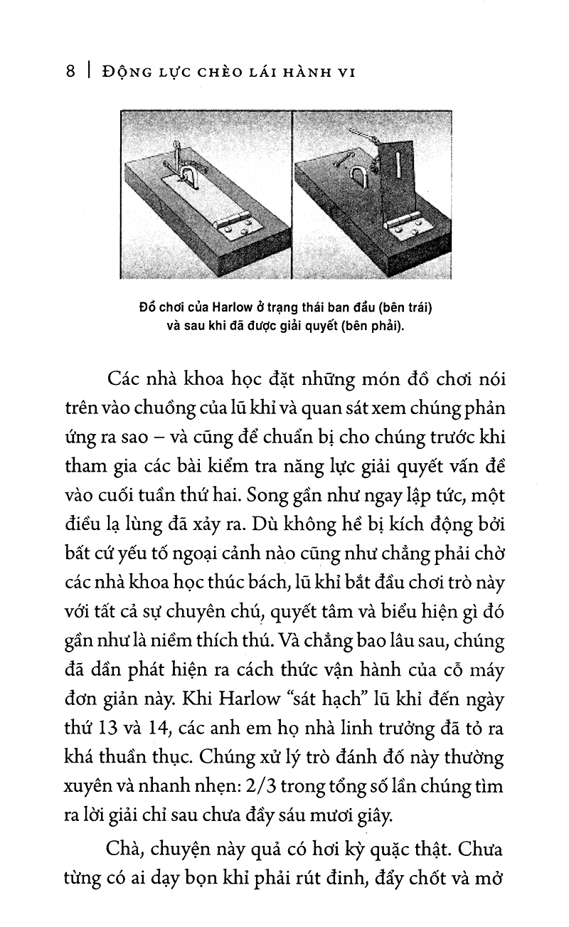 động lực chèo lái hành vi (tái bản)