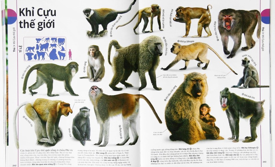 động vật - bách khoa thư hình ảnh về các loài vật trên trái đất