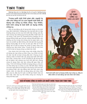 động vật có tầm ảnh hưởng - hạng mục: thành tựu trọn đời - nguồn cảm hứng mỗi ngày của loài người