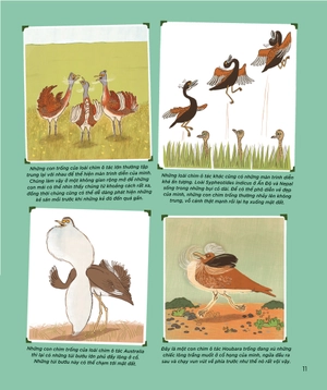 động vật có tầm ảnh hưởng - hạng mục: thành tựu trọn đời - nguồn cảm hứng mỗi ngày của loài người