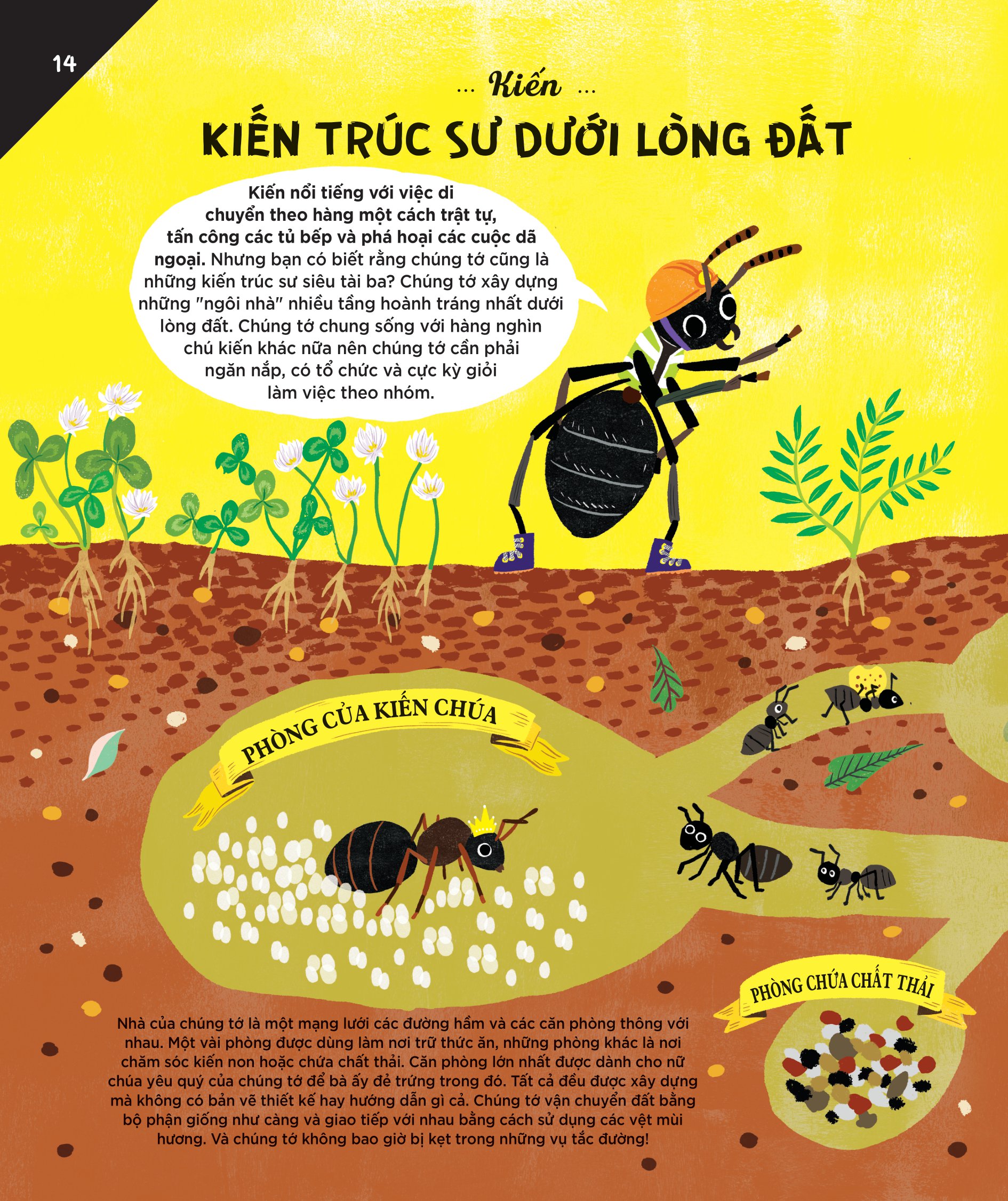 động vật có tầm ảnh hưởng - hạng mục: xây dựng - nguồn cảm hứng cho những công trình kiến trúc của loài người