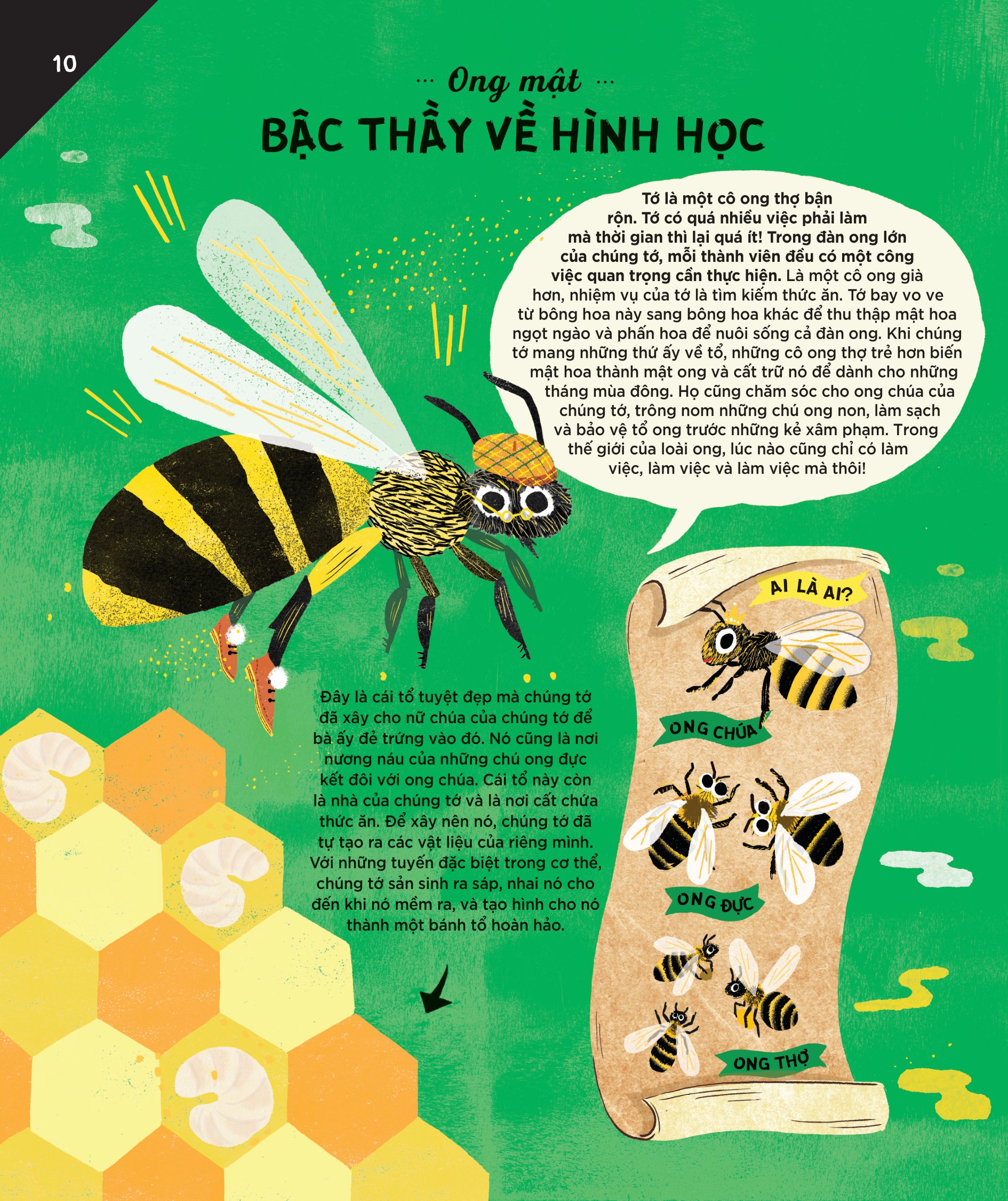 động vật có tầm ảnh hưởng - hạng mục: xây dựng - nguồn cảm hứng cho những công trình kiến trúc của loài người