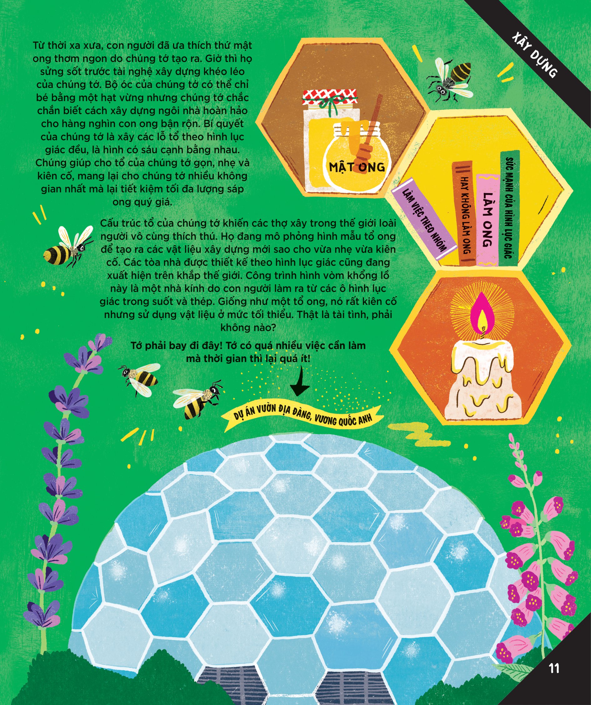 động vật có tầm ảnh hưởng - hạng mục: xây dựng - nguồn cảm hứng cho những công trình kiến trúc của loài người