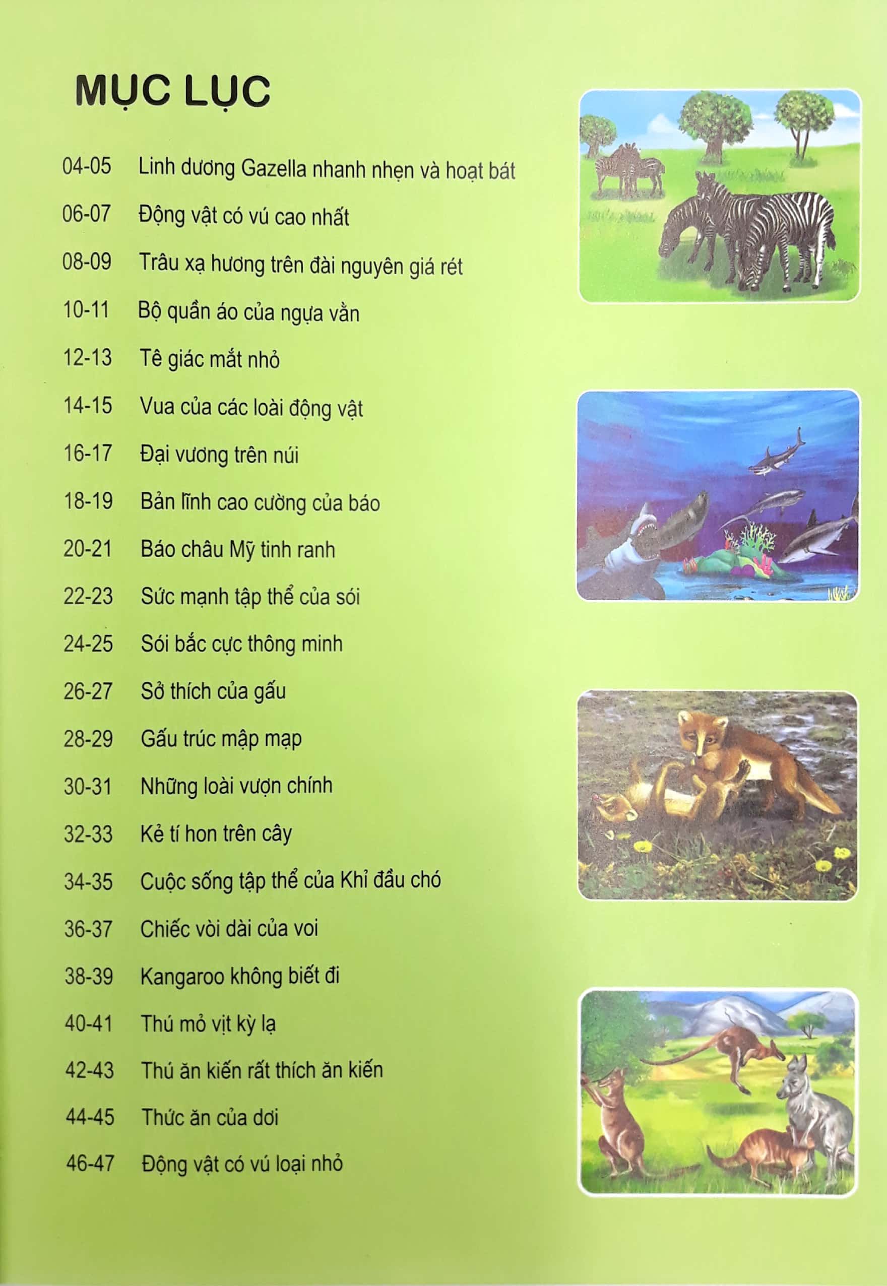 động vật có vú - thế giới động vật kỳ thú