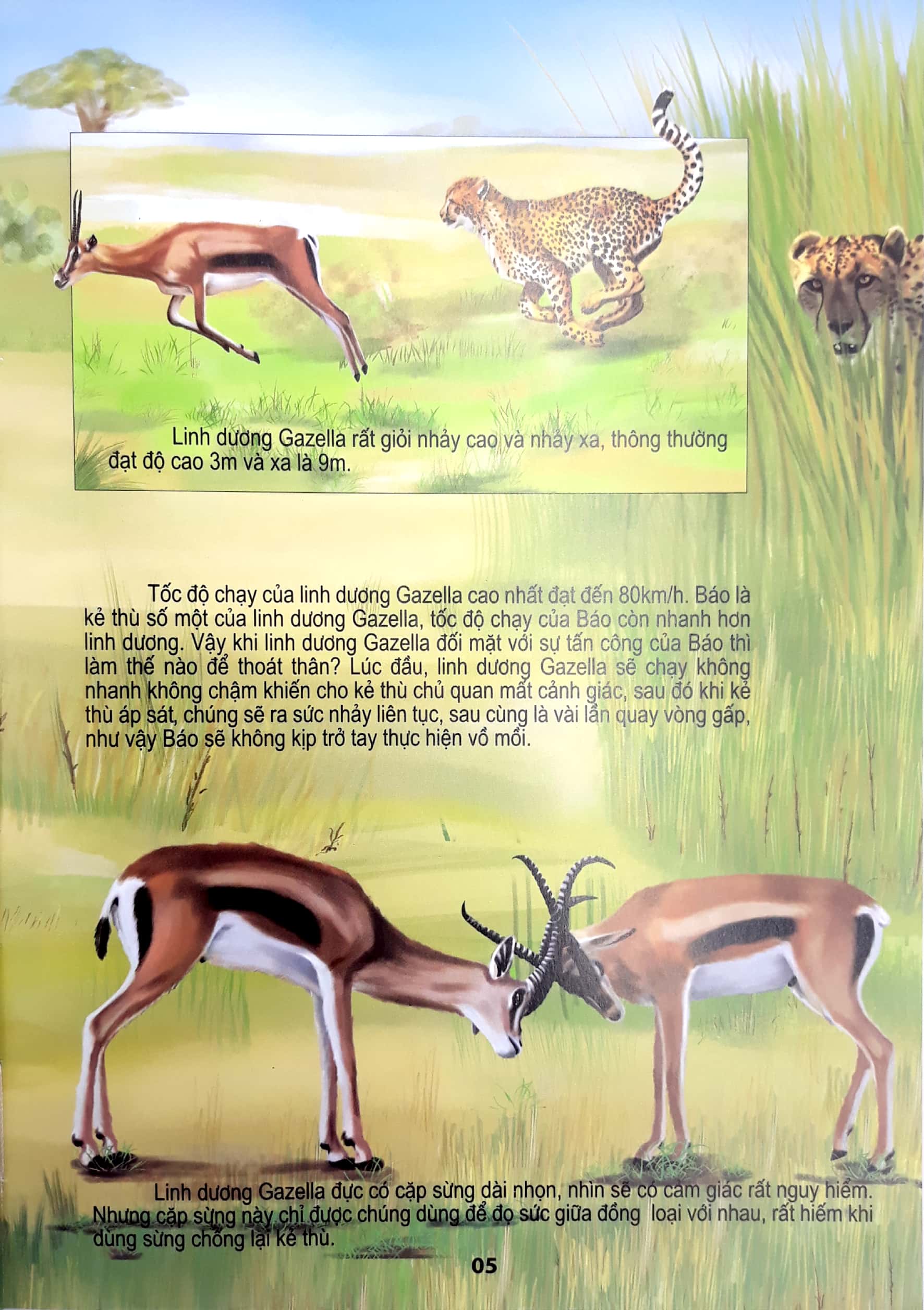 động vật có vú - thế giới động vật kỳ thú