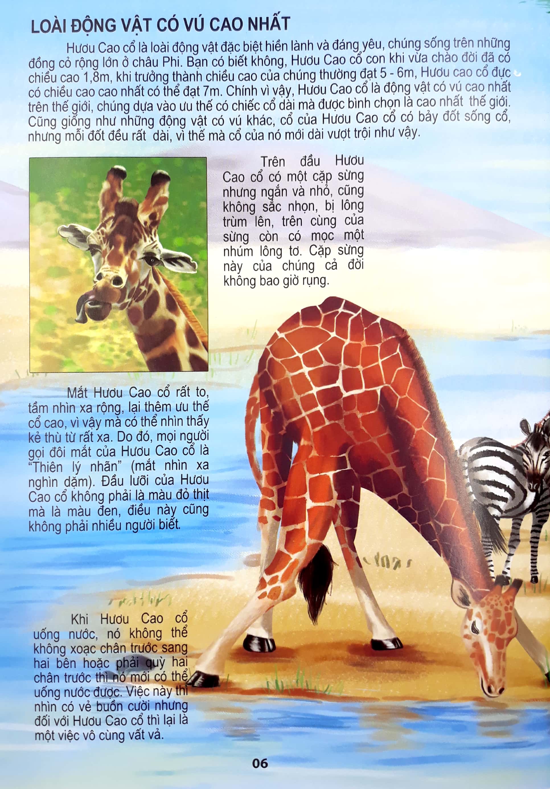 động vật có vú - thế giới động vật kỳ thú