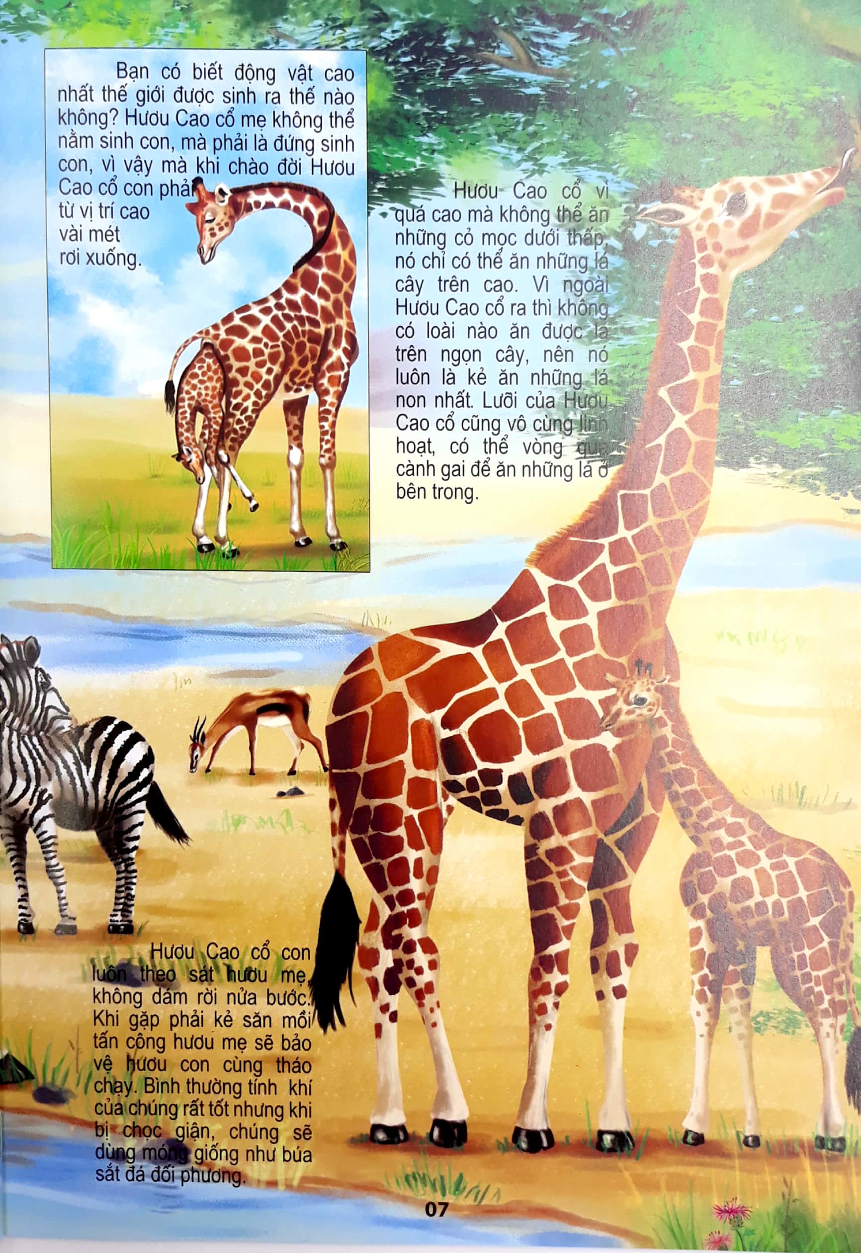 động vật có vú - thế giới động vật kỳ thú