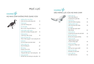 động vật kì thú - chim muông