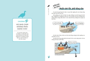 động vật kì thú - chim muông