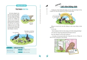 động vật kì thú - chim muông