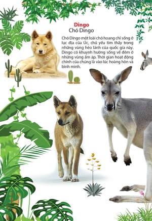 động vật ở châu úc