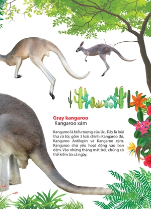 động vật ở châu úc