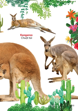 động vật ở châu úc