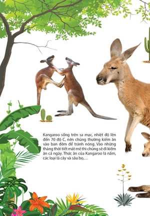 động vật ở châu úc