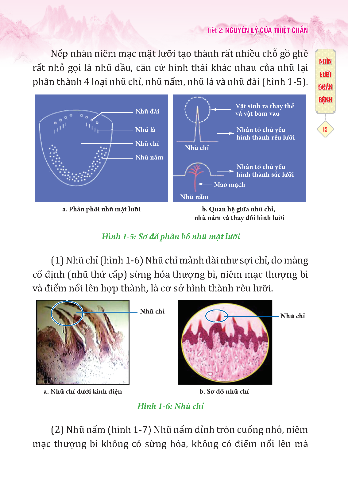 đông y thiệt chẩn (tái bản 2023)