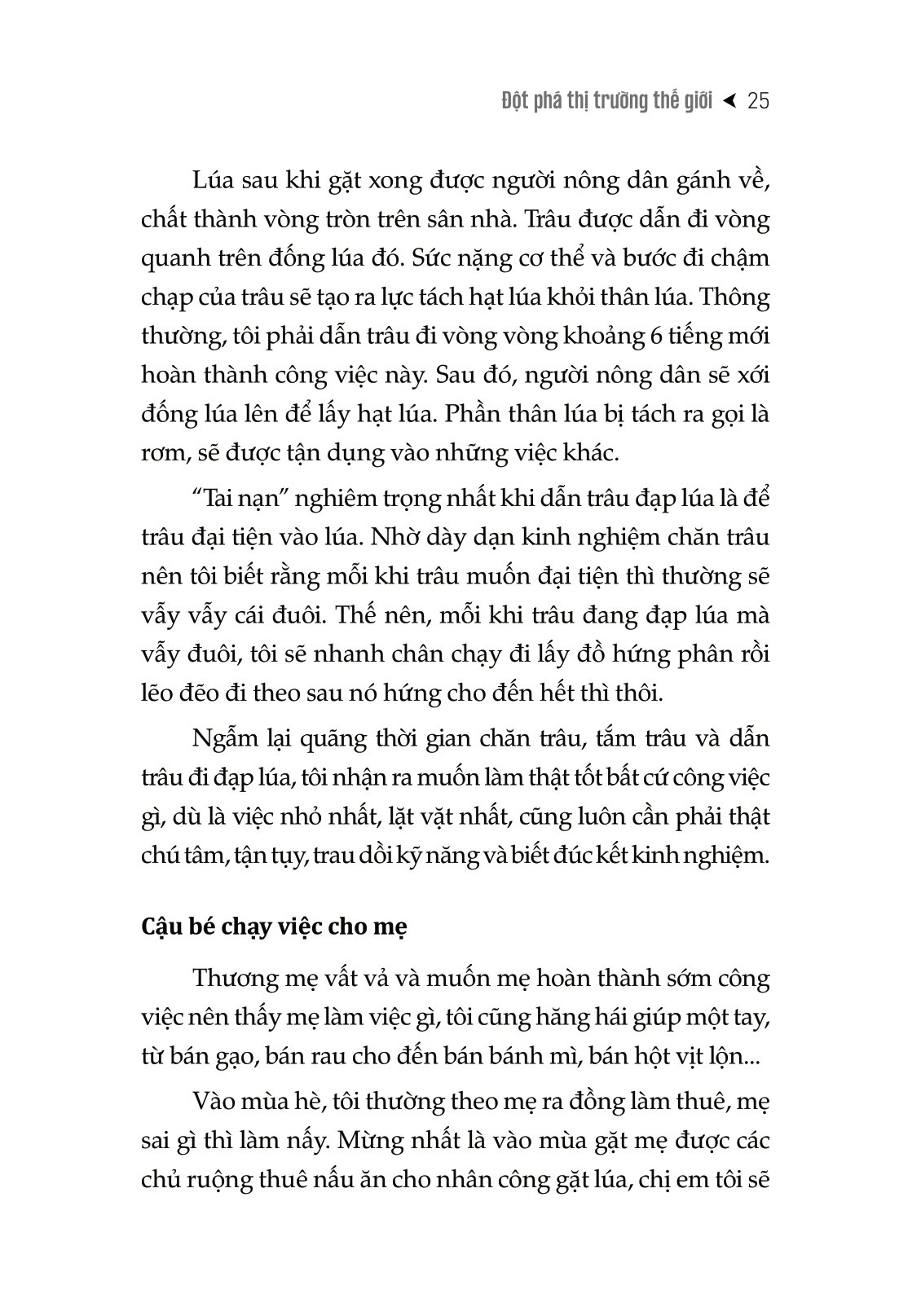 đột phá thị trường thế giới