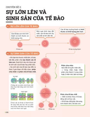 đột phá tư duy khoa học tự nhiên 6 - tập 1