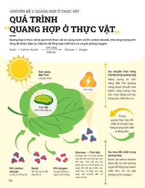 đột phá tư duy khoa học tự nhiên 7 - tập 2