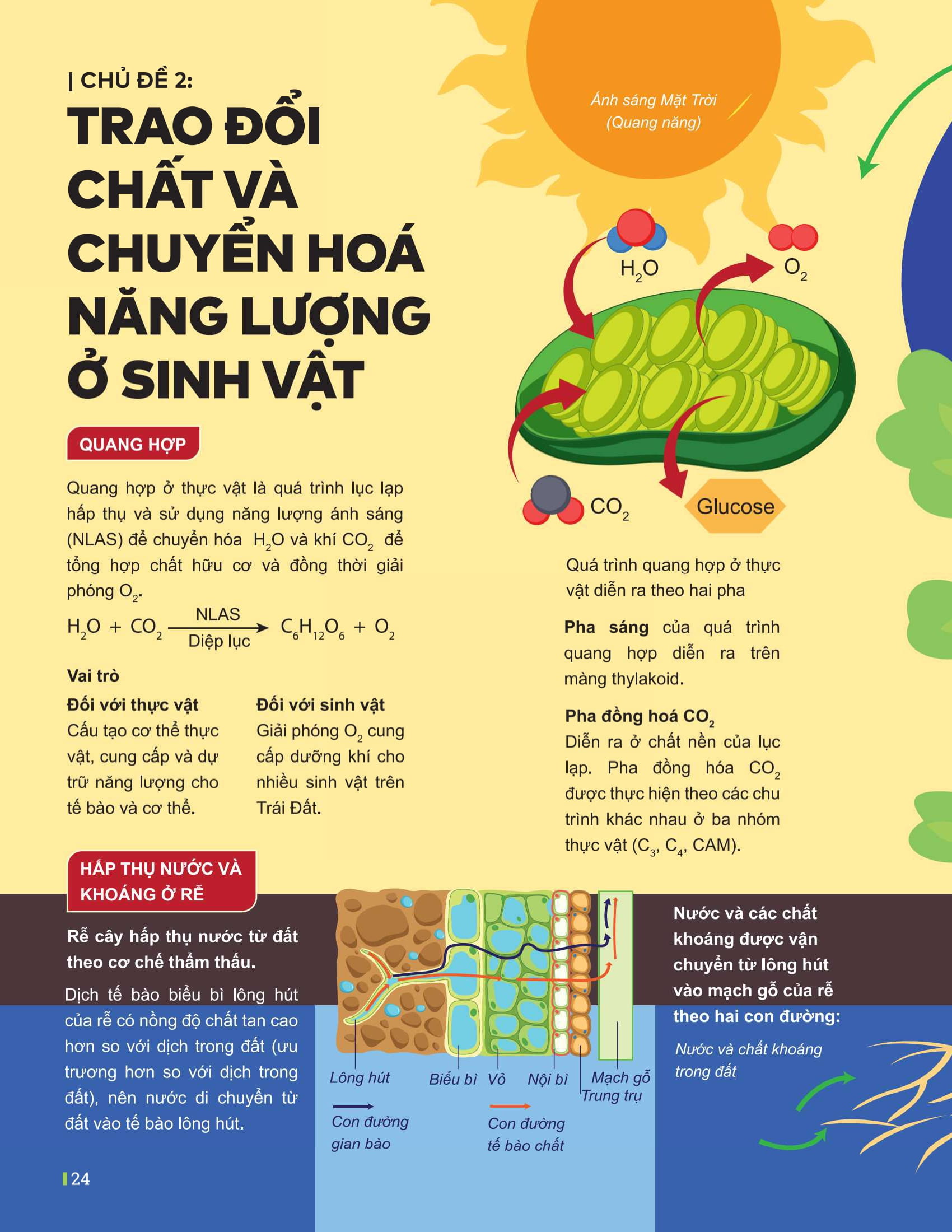 Dot Pha Tu Duy Ki Thi Tot Nghiep THPT - Mon Sinh Hoc