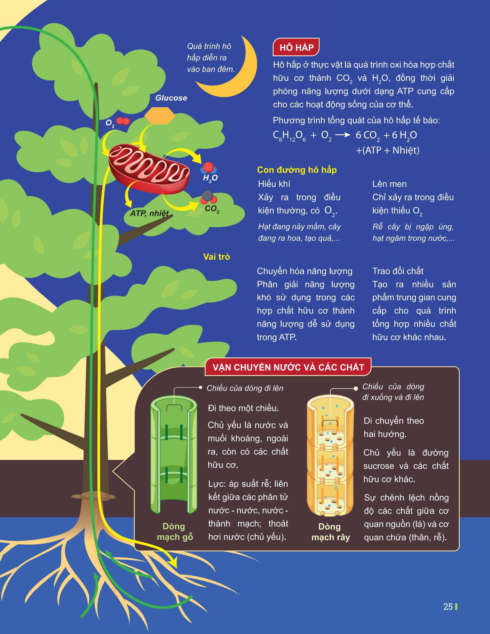 Dot Pha Tu Duy Ki Thi Tot Nghiep THPT - Mon Sinh Hoc