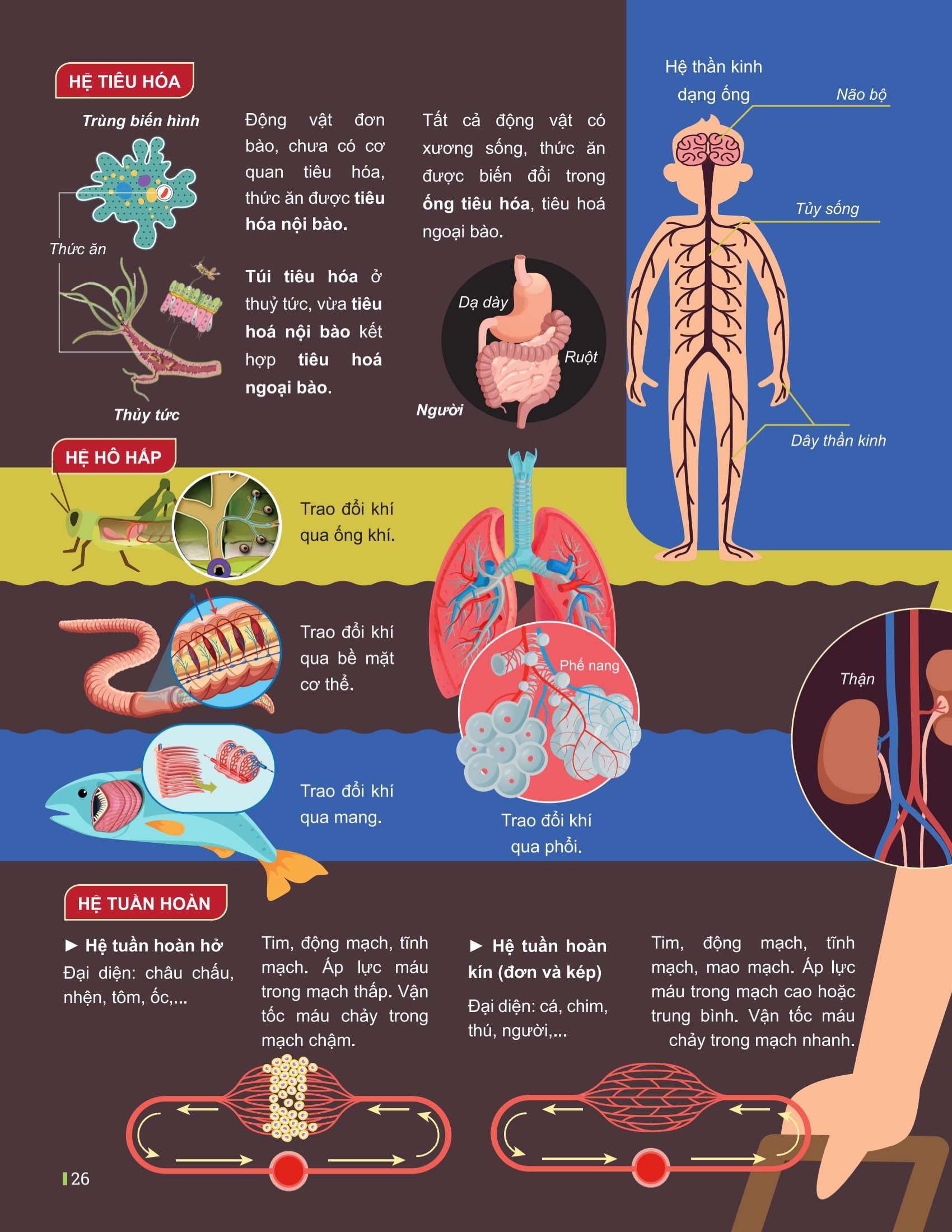 Dot Pha Tu Duy Ki Thi Tot Nghiep THPT - Mon Sinh Hoc