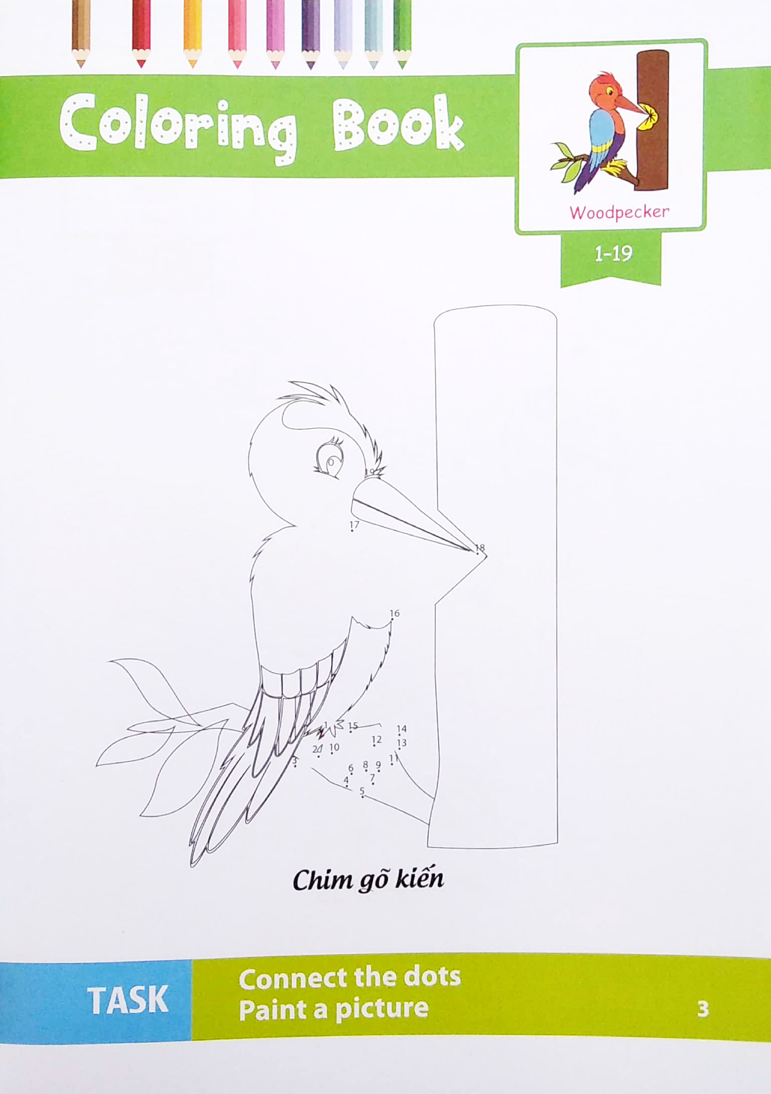 dot to dot coloring book - nối số & tô màu - các loài chim