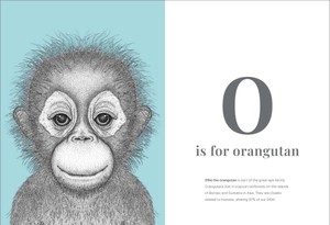 dots by donna - the animal alphabet