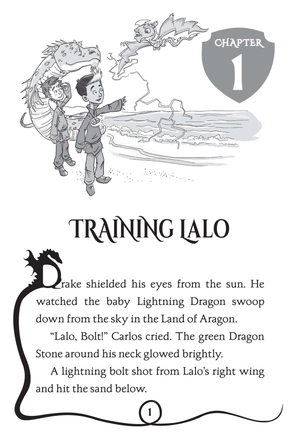 dragon masters #22: guarding the invisible dragons