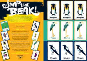 draw with rob: amazing animals