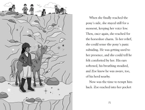 dream pony : an animal rescue dolls story