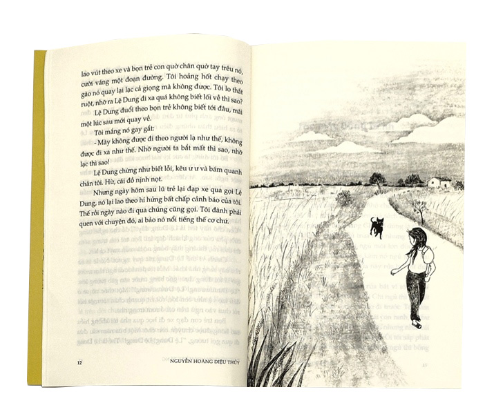 Đu Đưa Trên Ngọn Cây Bàng